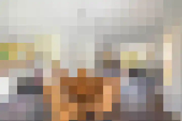 Pekelharingsweg 11 Deventer thumbnail 34