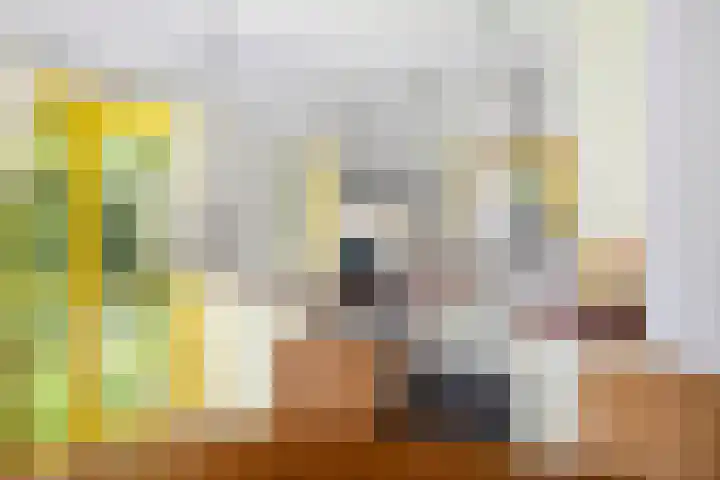 Pekelharingsweg 11 Deventer thumbnail 37