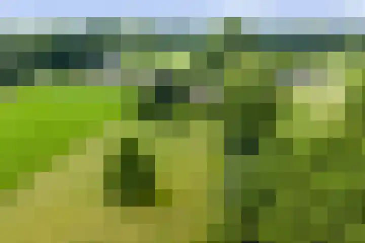 Pekelharingsweg 11 Deventer thumbnail 4