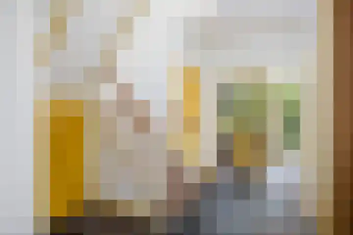 Pekelharingsweg 11 Deventer thumbnail 40