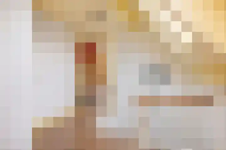 Pekelharingsweg 11 Deventer thumbnail 42