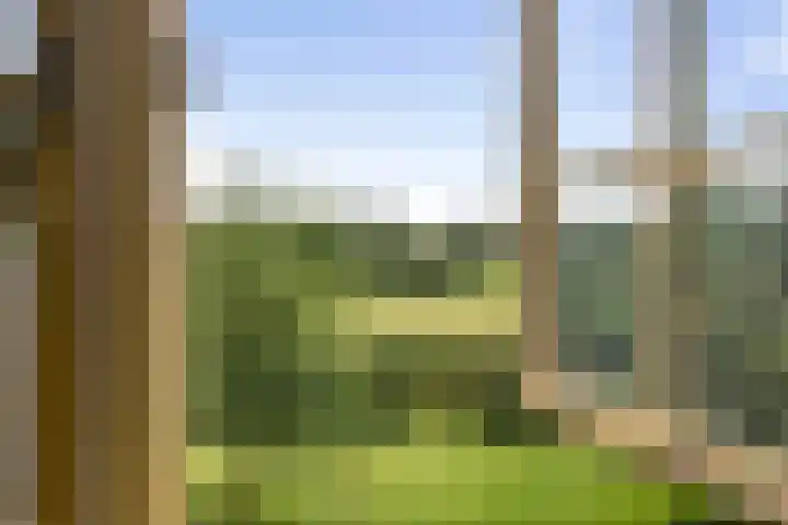 Pekelharingsweg 11 Deventer thumbnail 49