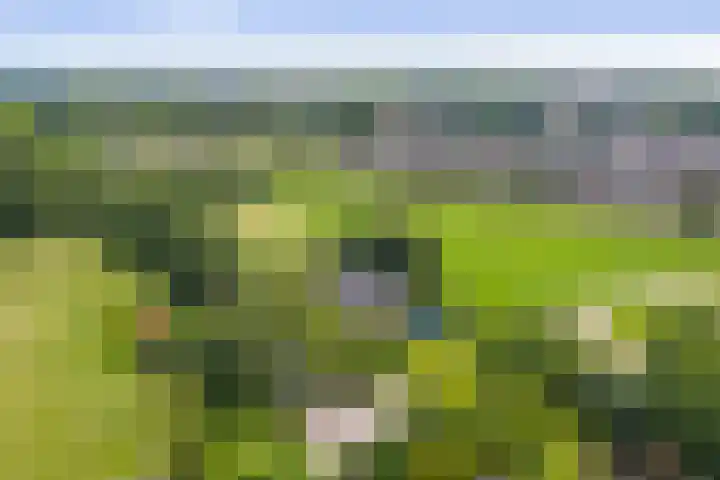 Pekelharingsweg 11 Deventer thumbnail 5