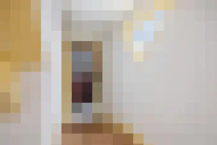 Pekelharingsweg 11 Deventer thumbnail 52