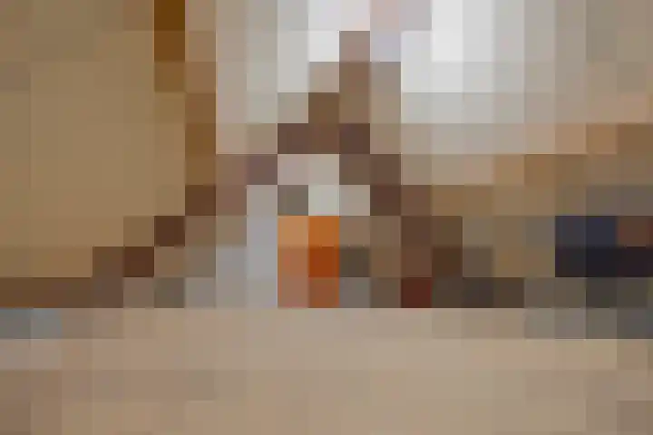 Pekelharingsweg 11 Deventer thumbnail 59