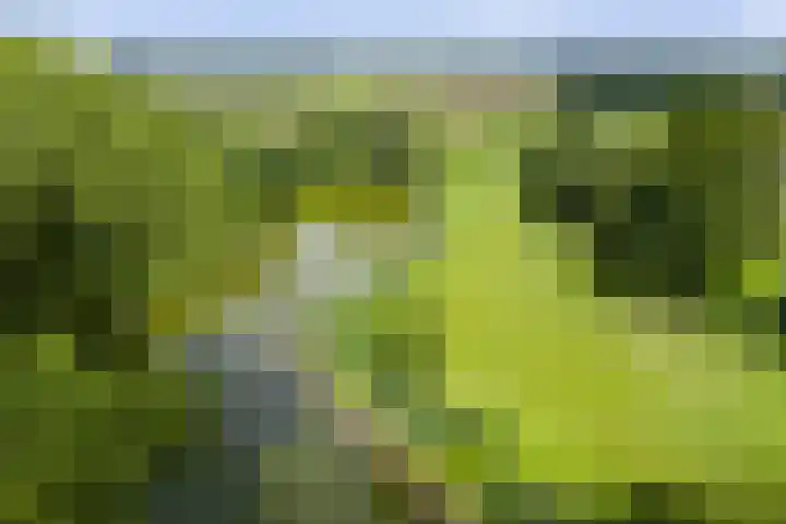 Pekelharingsweg 11 Deventer thumbnail 6