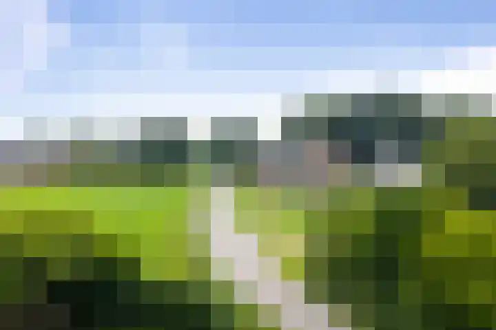 Pekelharingsweg 11 Deventer thumbnail 7