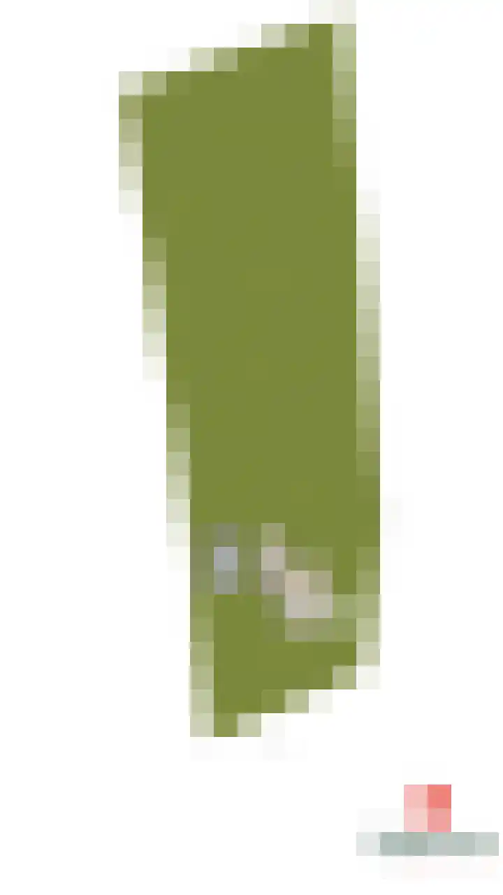Pekelharingsweg 11 Deventer thumbnail 71