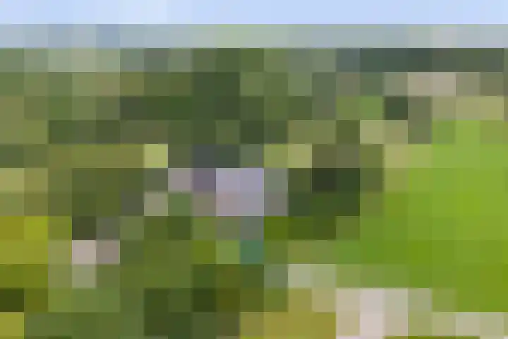 Pekelharingsweg 11 Deventer thumbnail 72