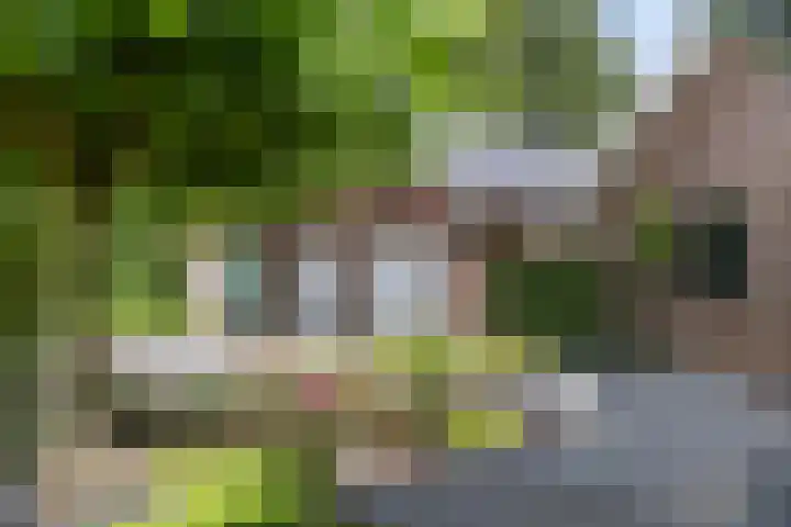 Pekelharingsweg 11 Deventer thumbnail 9