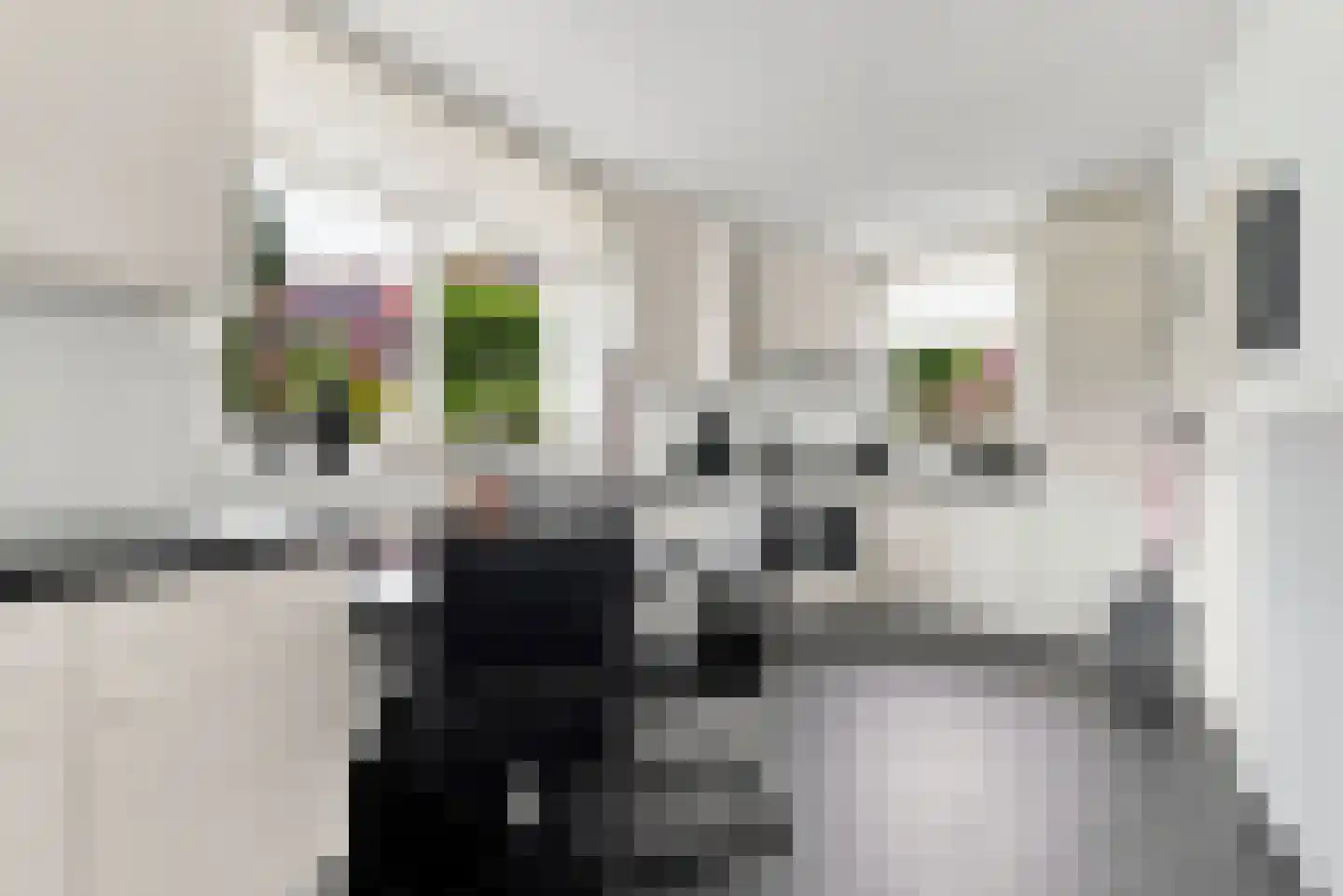 Pekelingseweg 1 Aagtekerke thumbnail 17