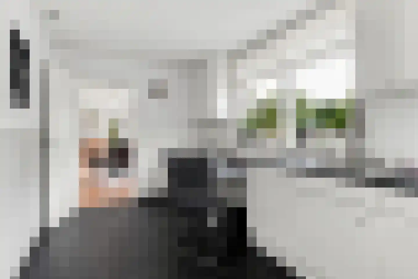 Pekelingseweg 1 Aagtekerke thumbnail 18