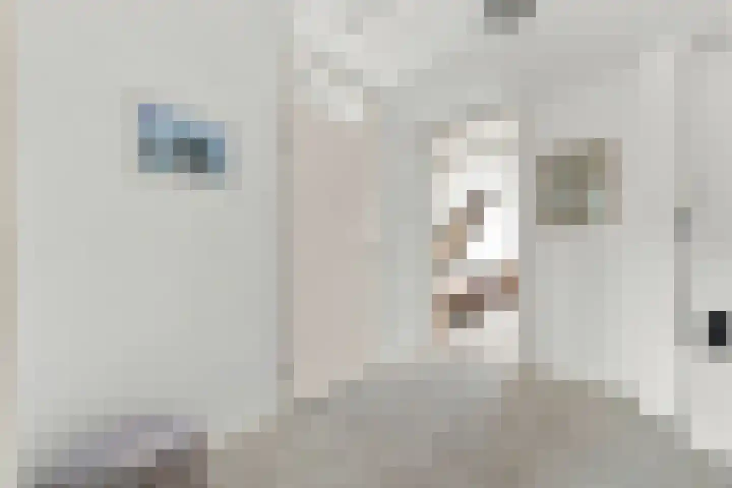 Pekelingseweg 1 Aagtekerke thumbnail 22