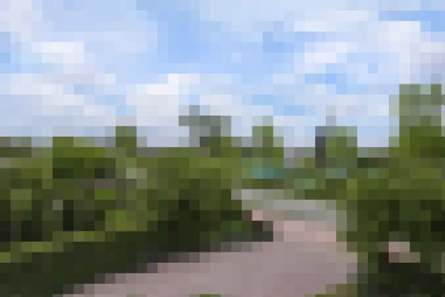 Pekelingseweg 1 Aagtekerke thumbnail 25