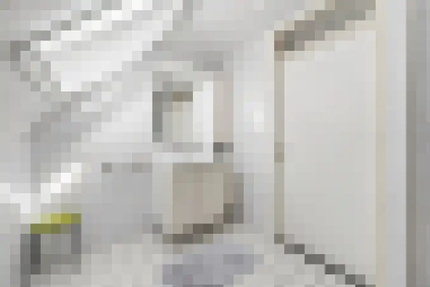 Pekelingseweg 1 Aagtekerke thumbnail 26