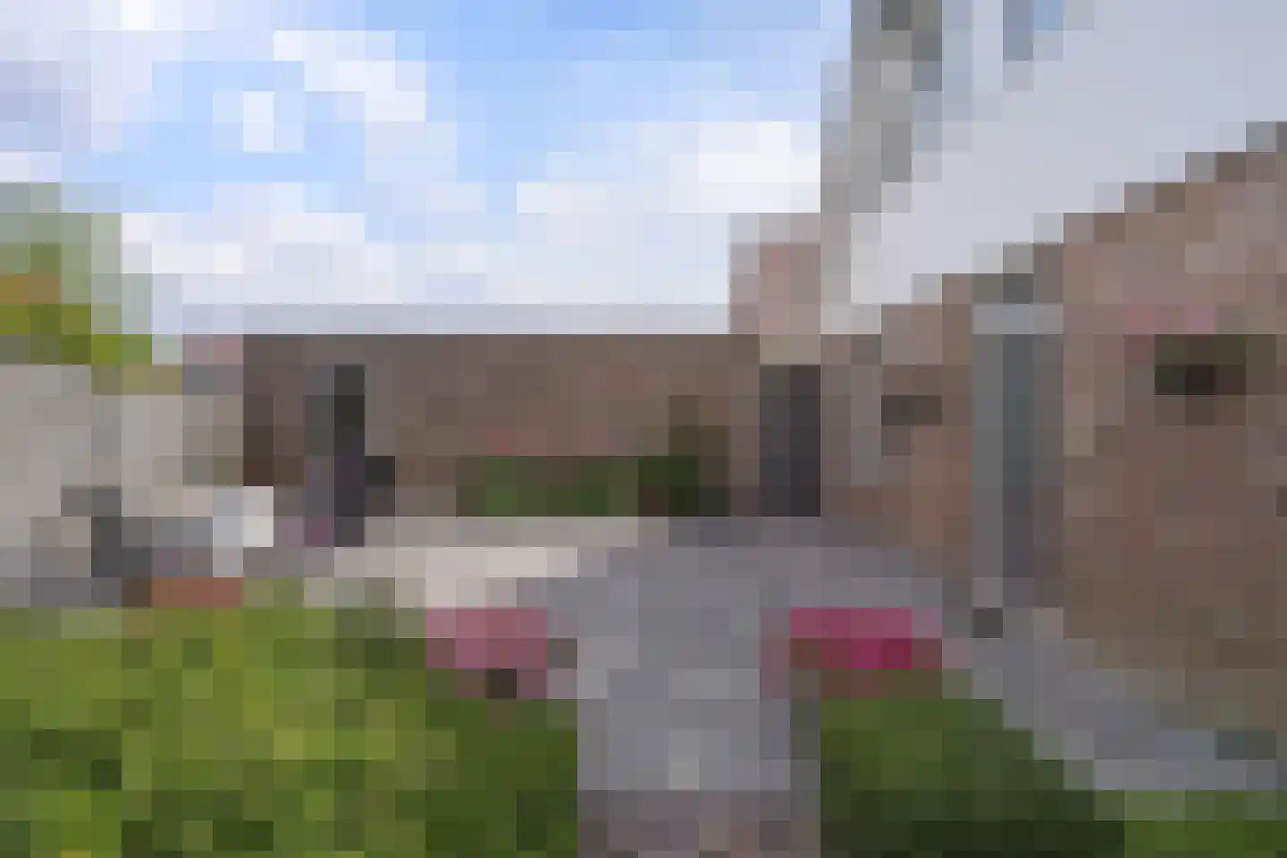 Pekelingseweg 1 Aagtekerke thumbnail 33