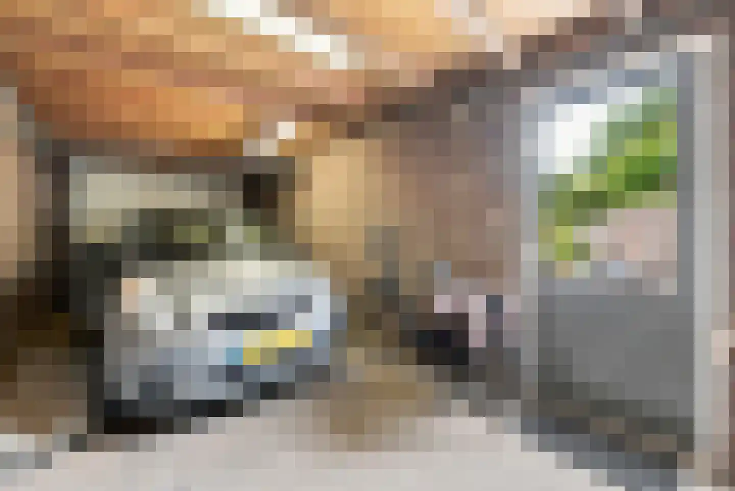 Pekelingseweg 1 Aagtekerke thumbnail 39