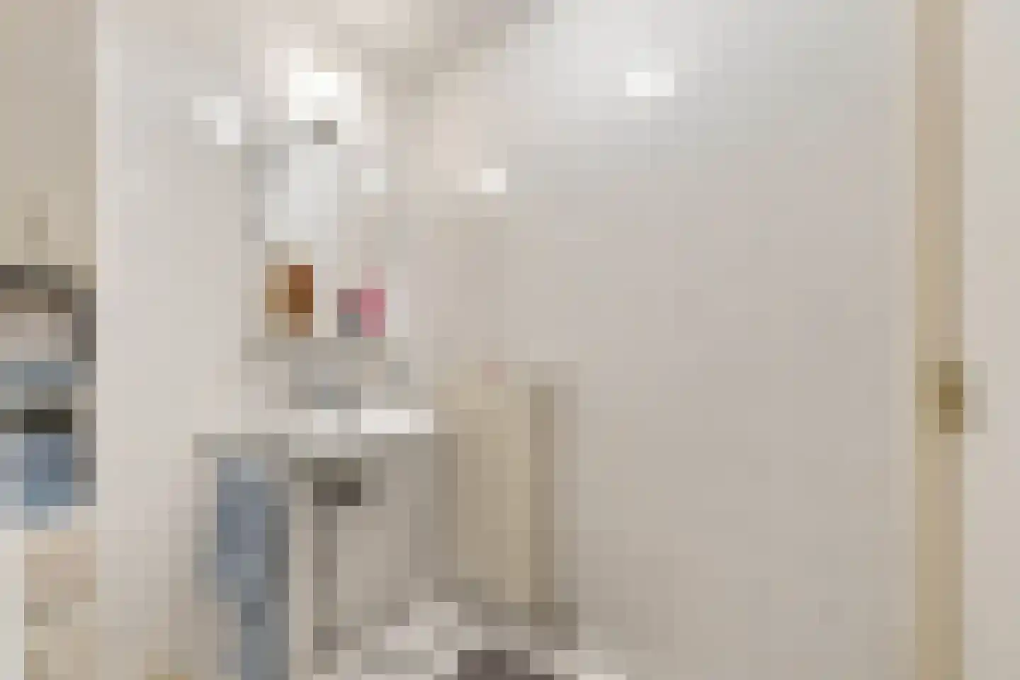 Pekelingseweg 1 Aagtekerke thumbnail 9