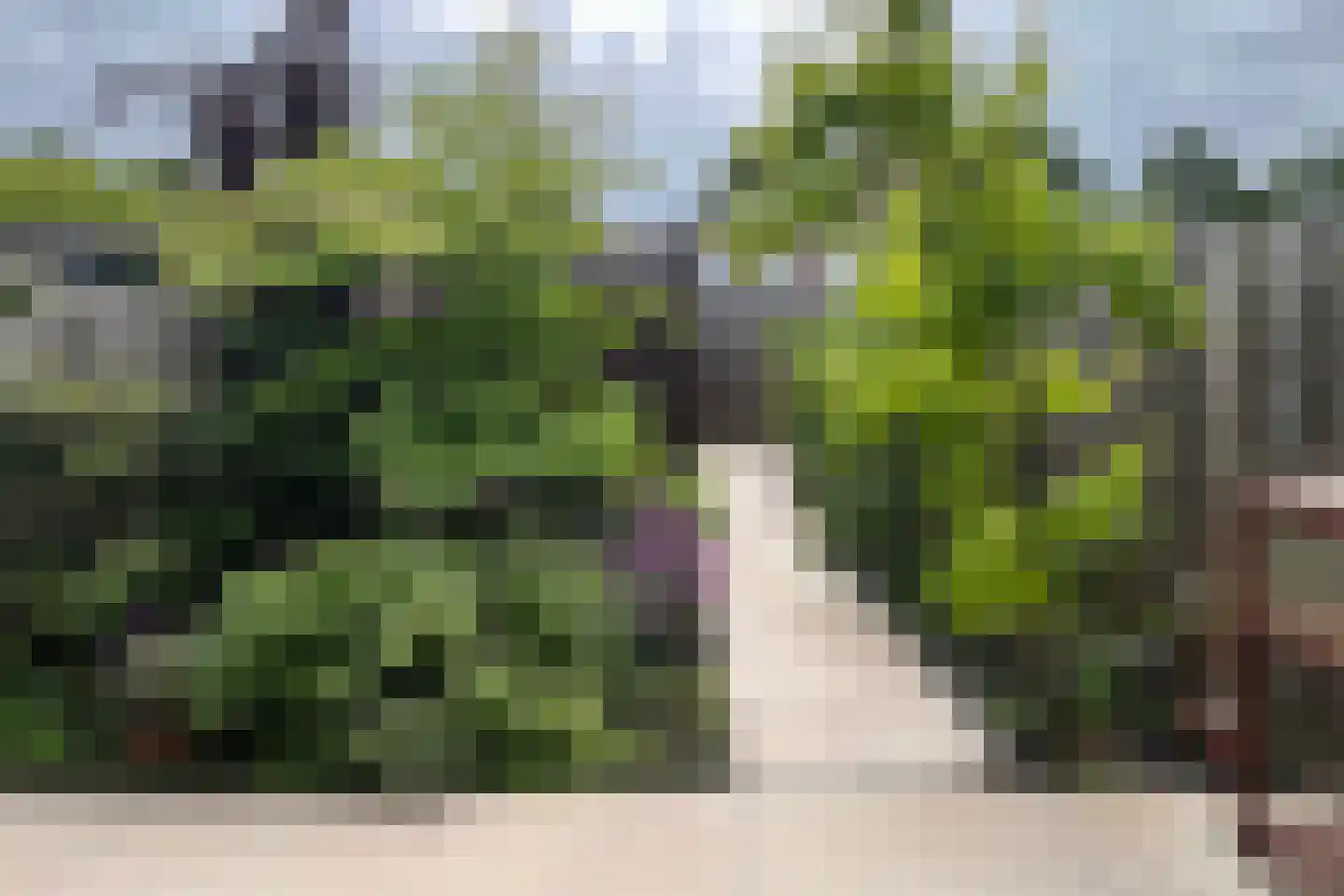 Pekingsingel 71 IJsselstein thumbnail 19