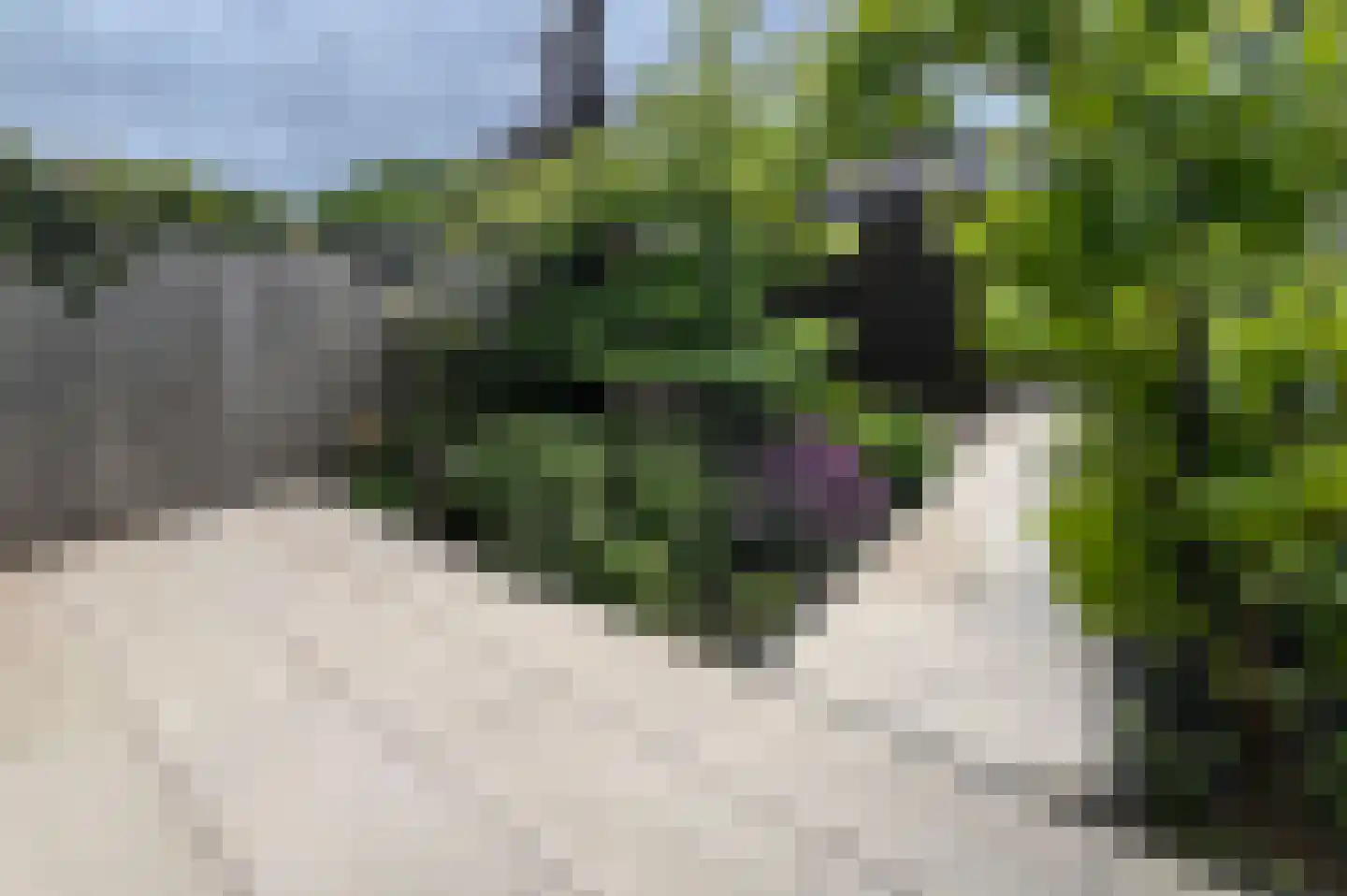 Pekingsingel 71 IJsselstein thumbnail 20