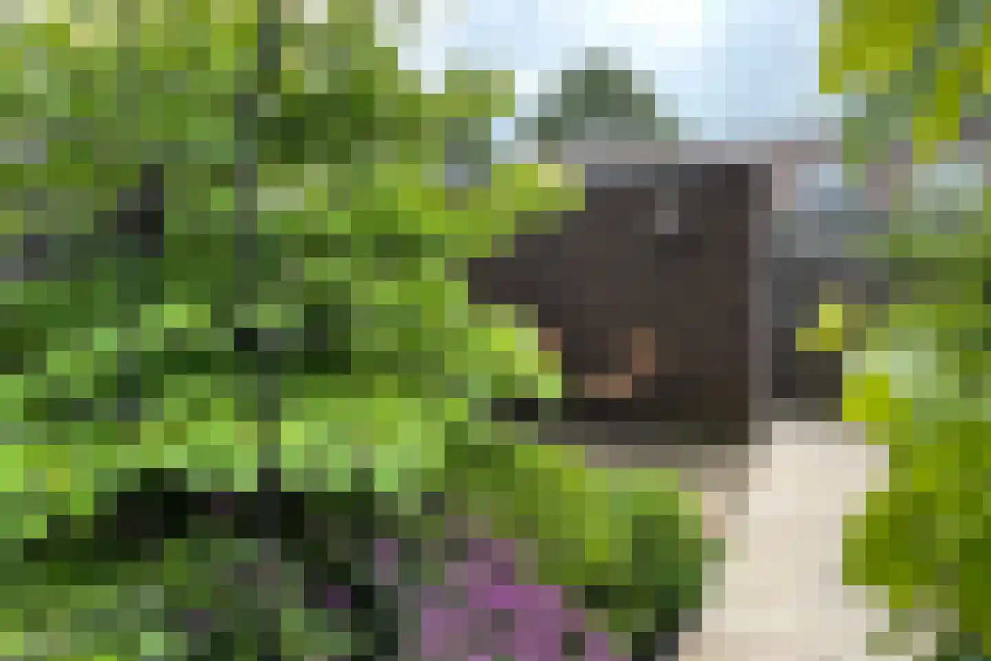 Pekingsingel 71 IJsselstein thumbnail 22