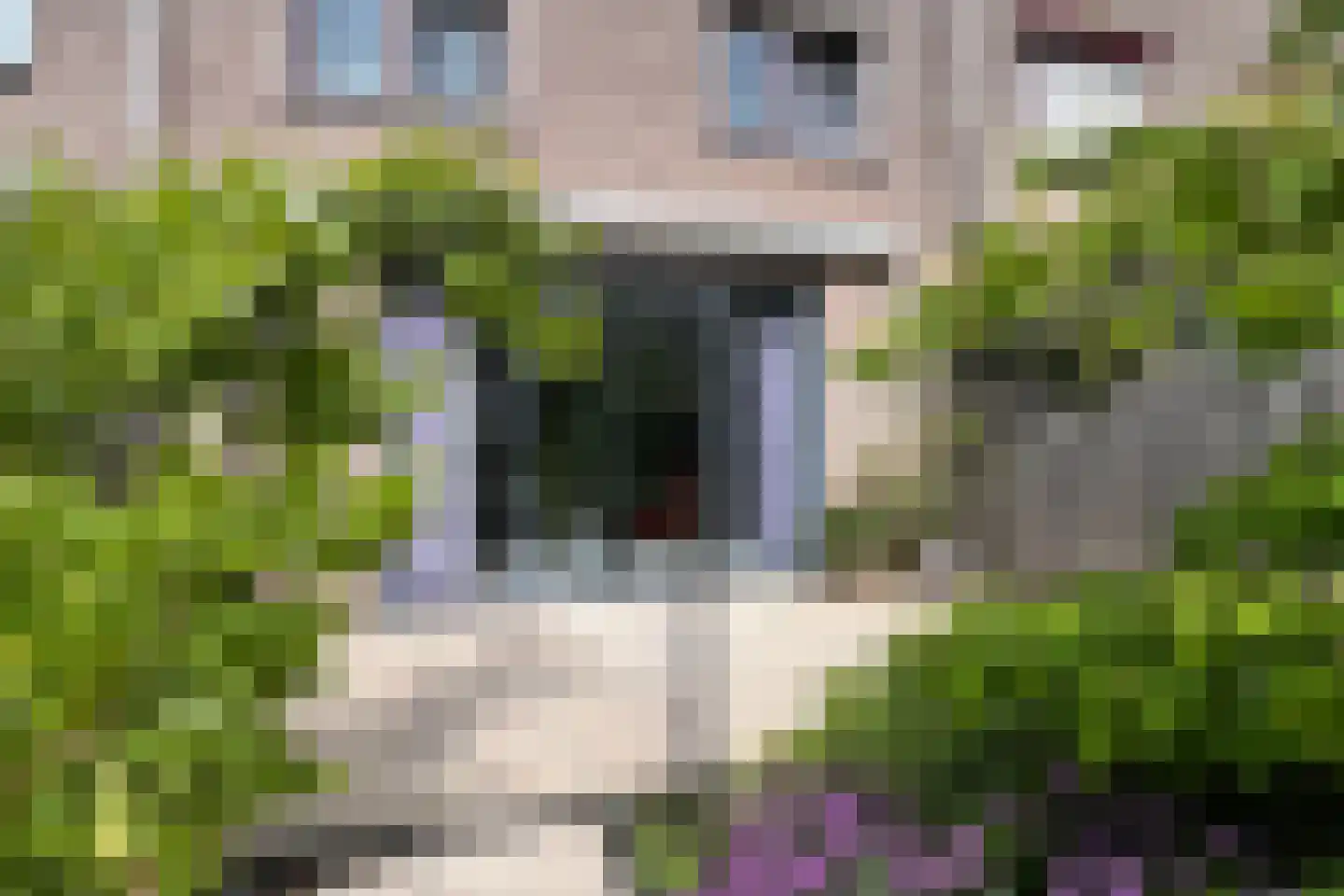 Pekingsingel 71 IJsselstein thumbnail 23