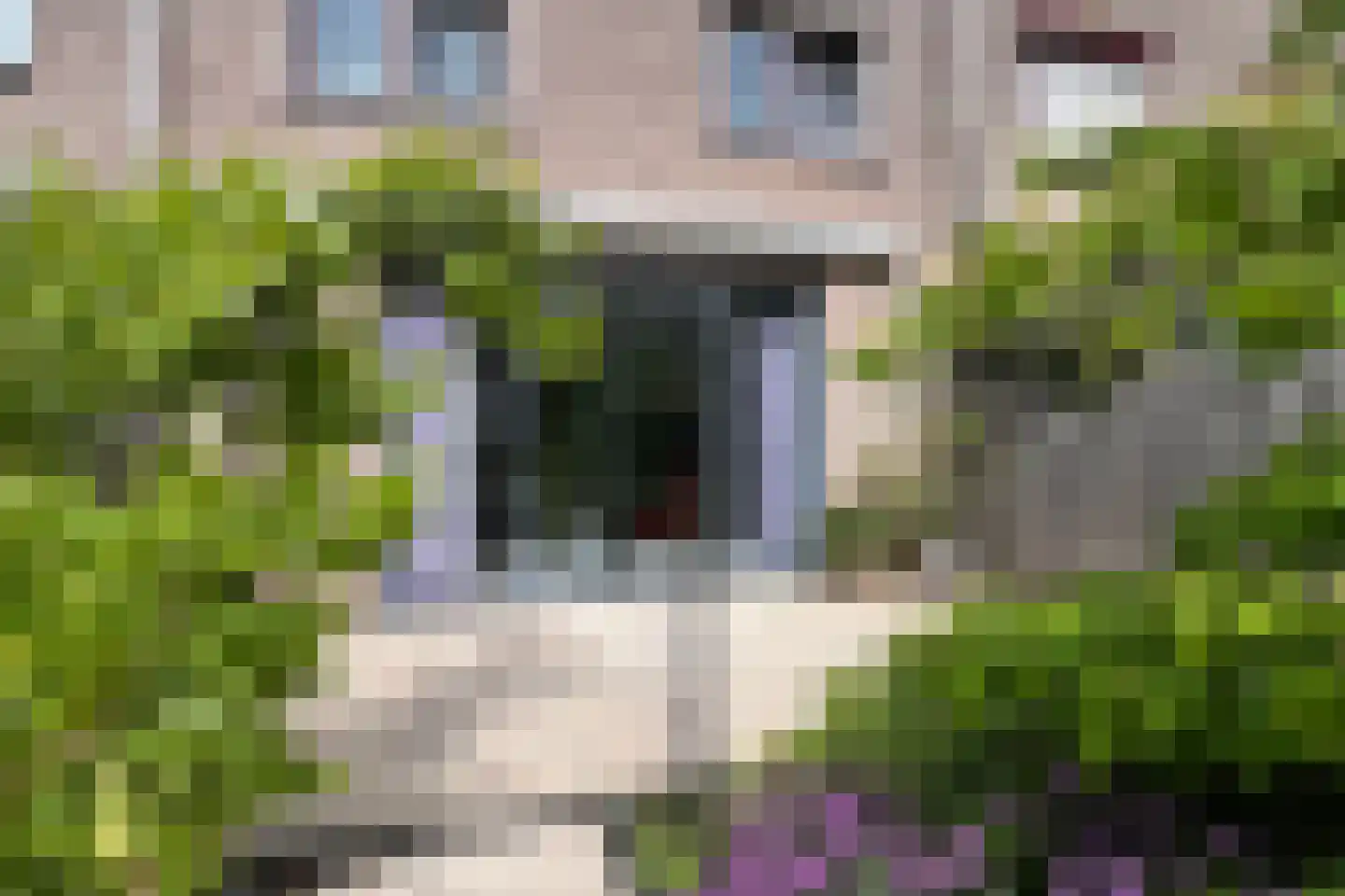 Pekingsingel 71 IJsselstein thumbnail 23