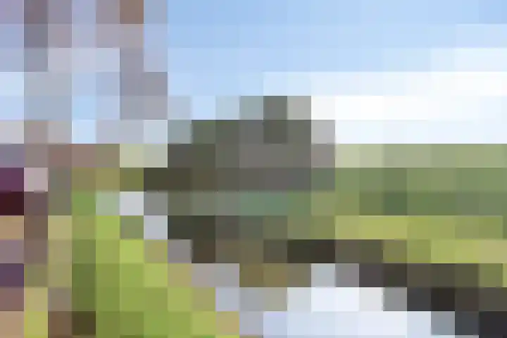Pekingsingel 97 IJsselstein thumbnail 33