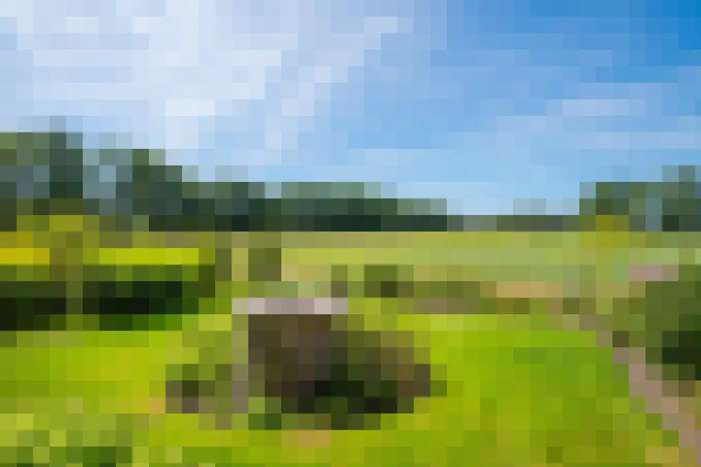 Pekkeriet 4 Laren thumbnail 18