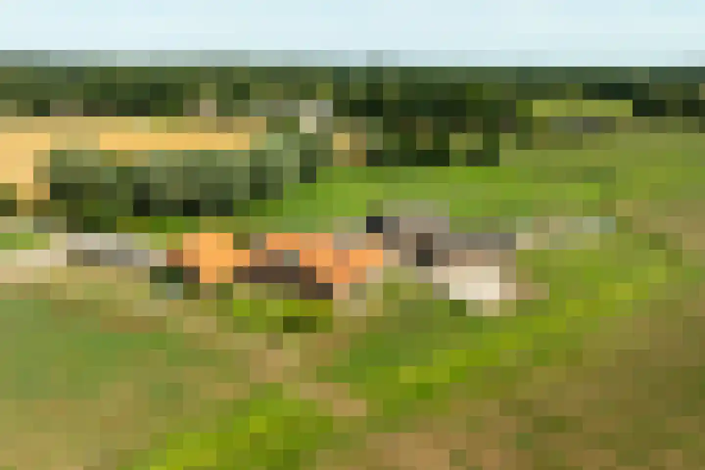 Pekkeriet 4 Laren foto 2