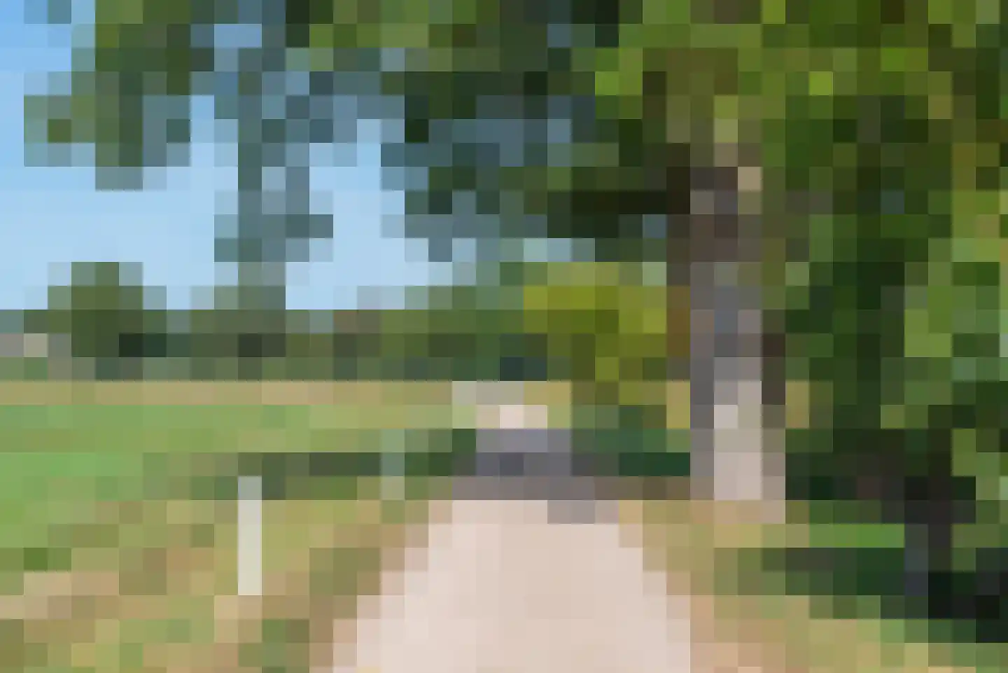 Pekkeriet 4 Laren thumbnail 22
