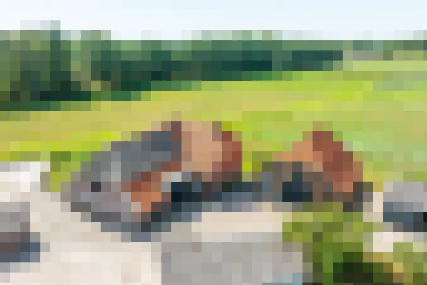 Pekkeriet 4 Laren foto 3