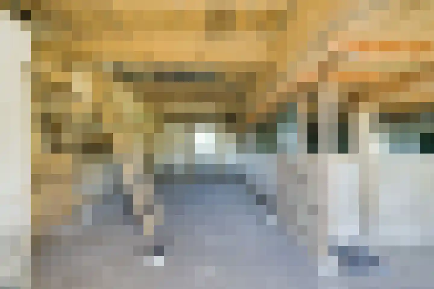 Pekkeriet 4 Laren thumbnail 46