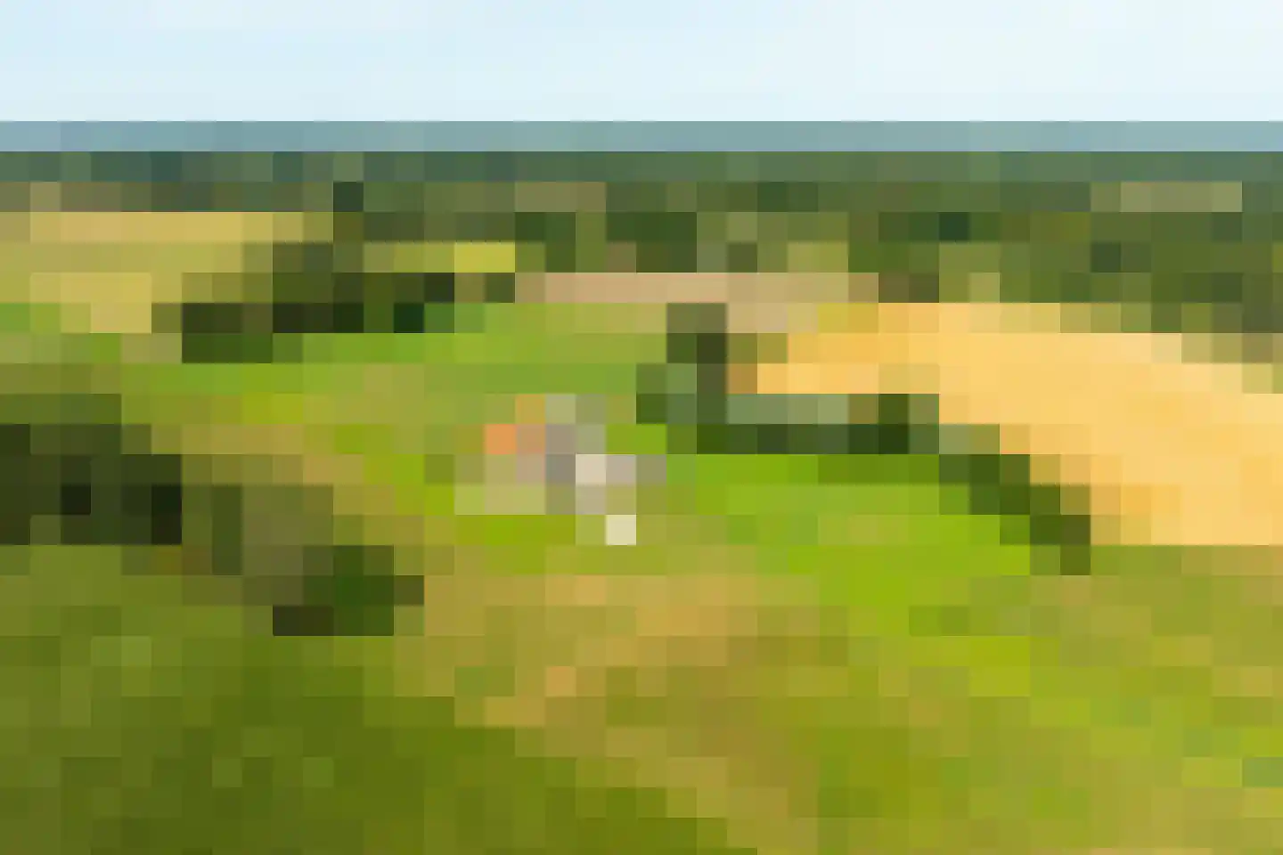 Pekkeriet 4 Laren thumbnail 5