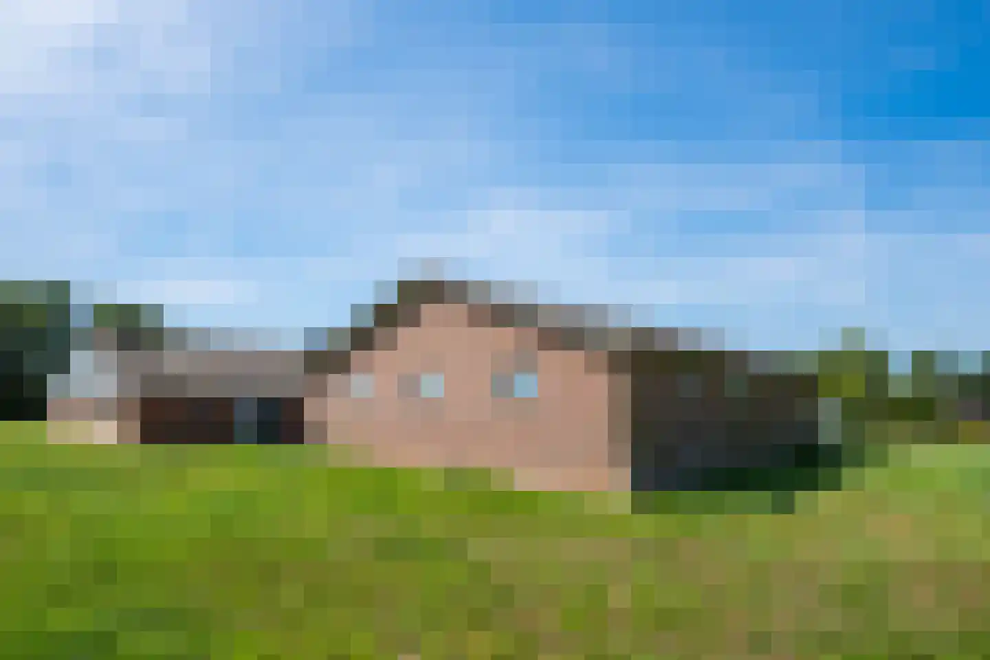 Pekkeriet 4 Laren thumbnail 52