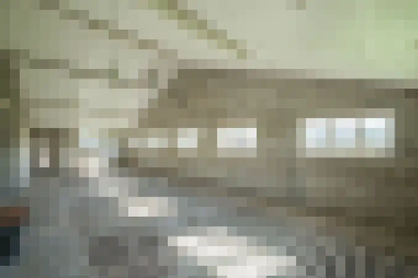 Pekkeriet 4 Laren thumbnail 53