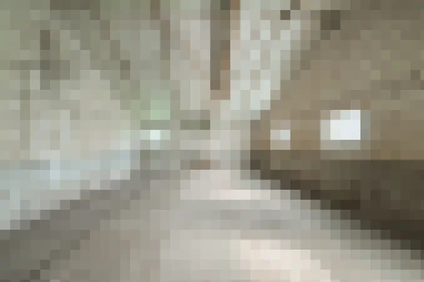 Pekkeriet 4 Laren thumbnail 54