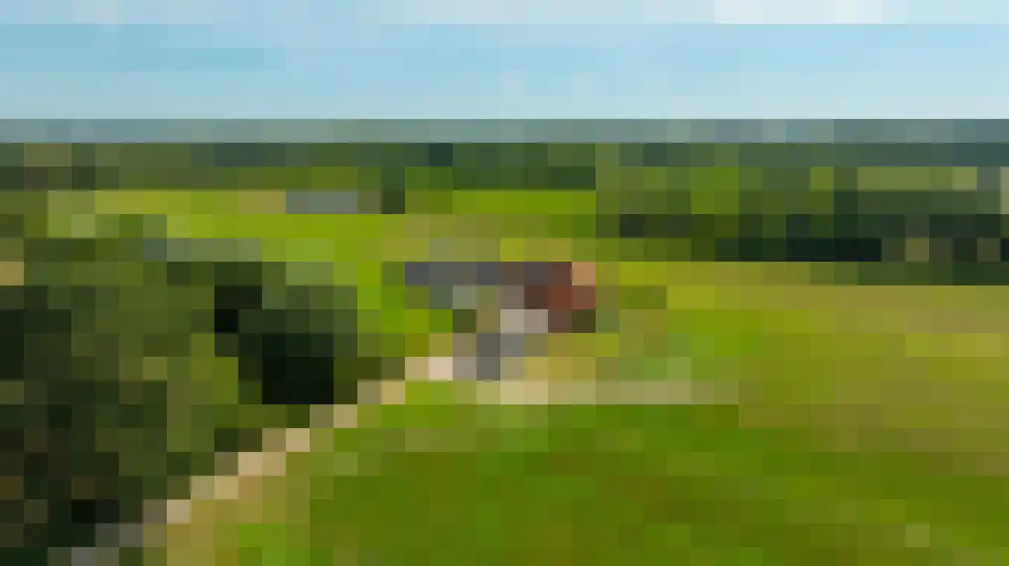 Pekkeriet 4 Laren thumbnail 56