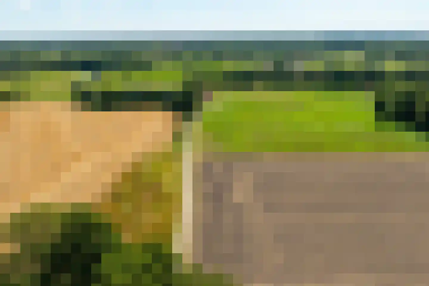 Pekkeriet 4 Laren thumbnail 57