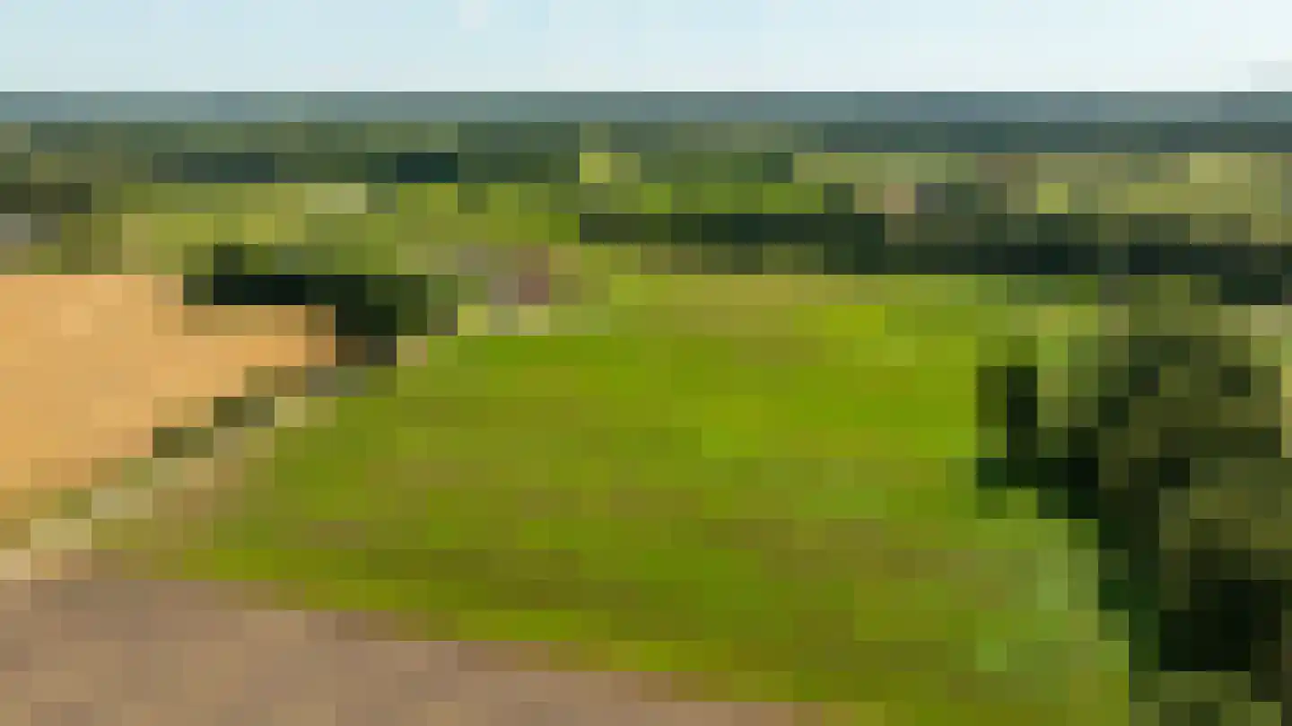 Pekkeriet 4 Laren thumbnail 58