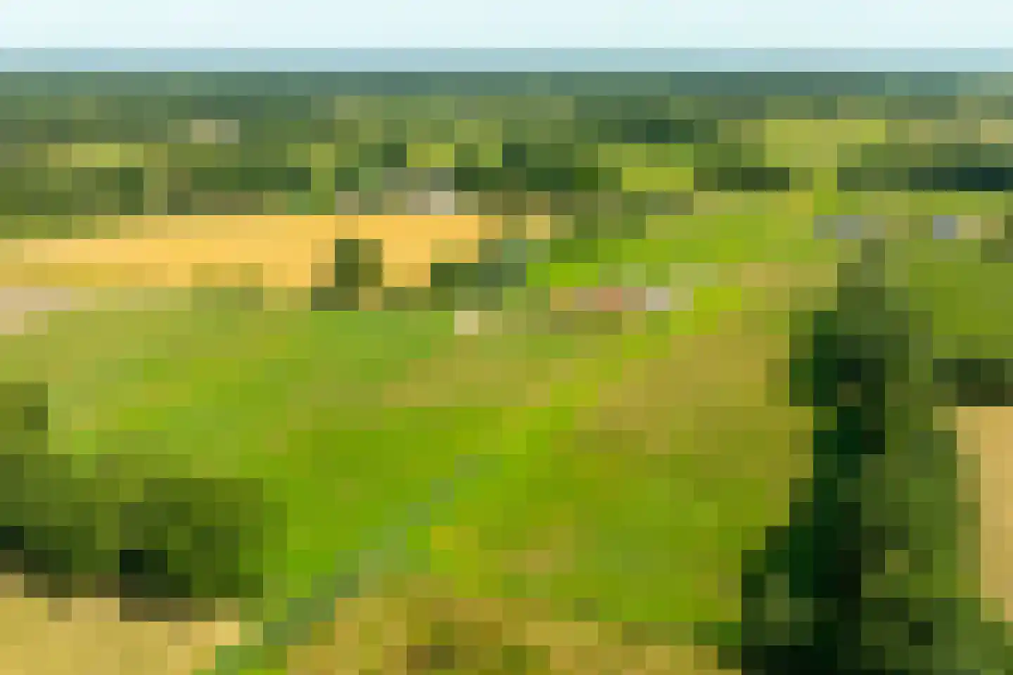 Pekkeriet 4 Laren thumbnail 59