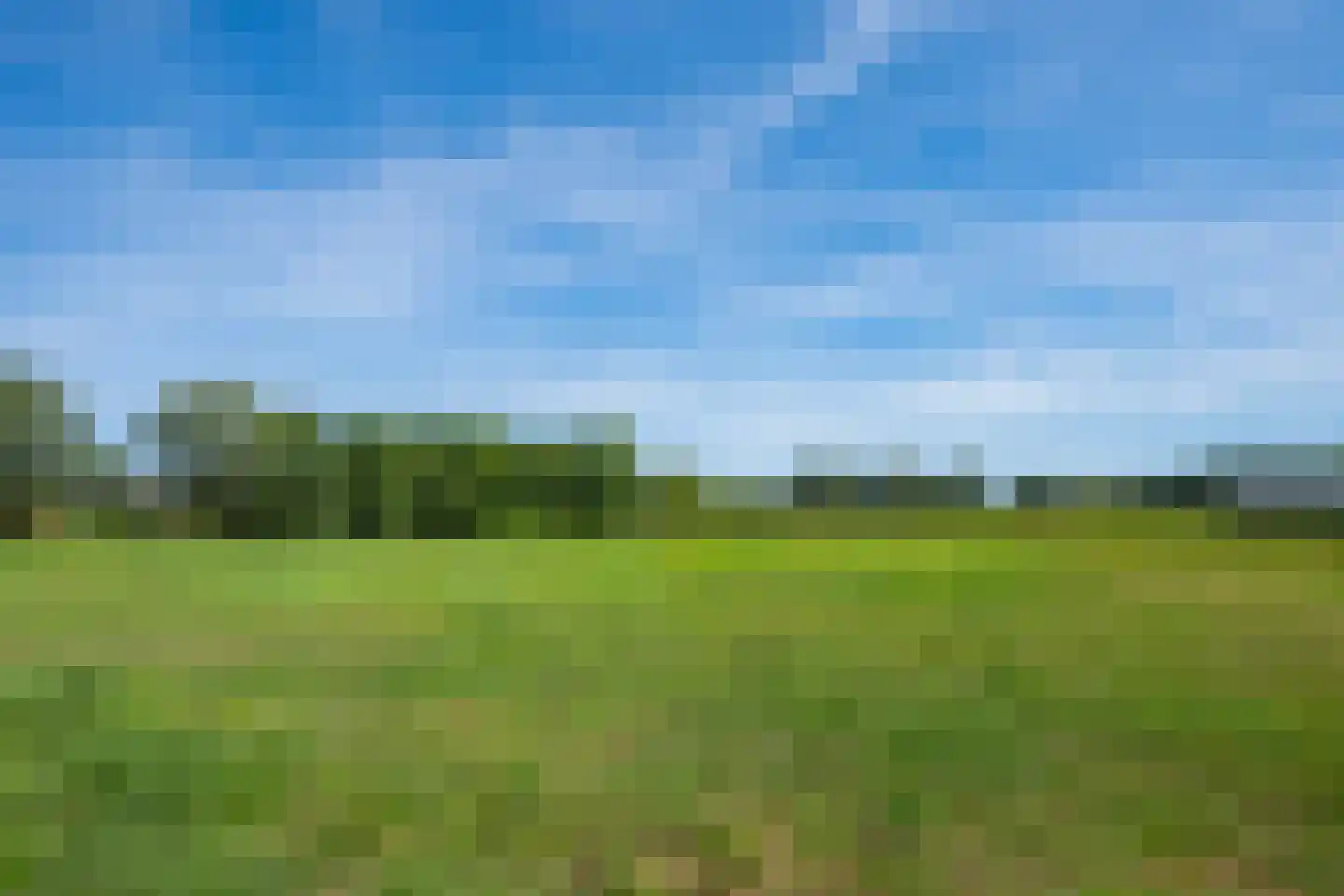 Pekkeriet 4 Laren thumbnail 60