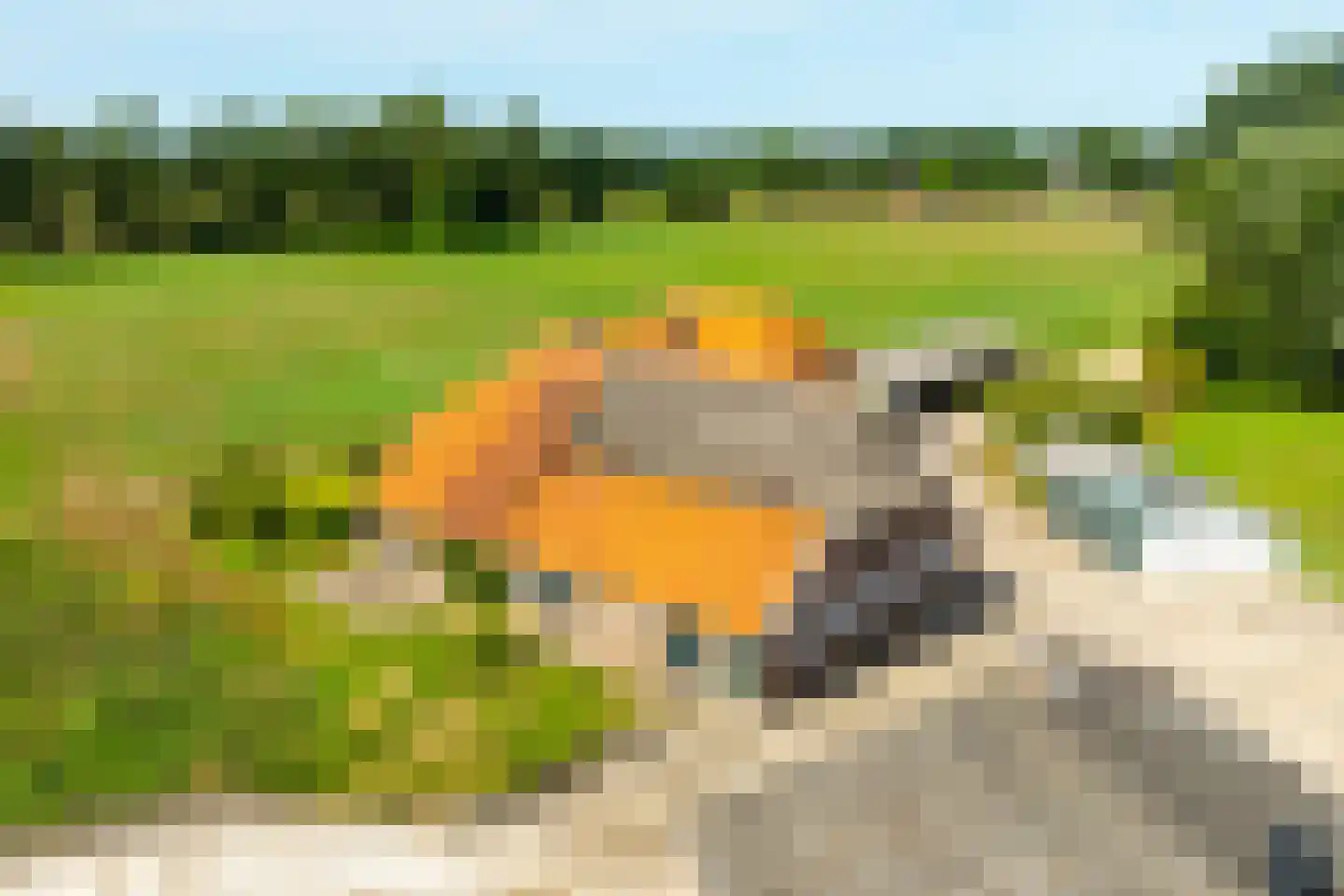 Pekkeriet 4 Laren thumbnail 8