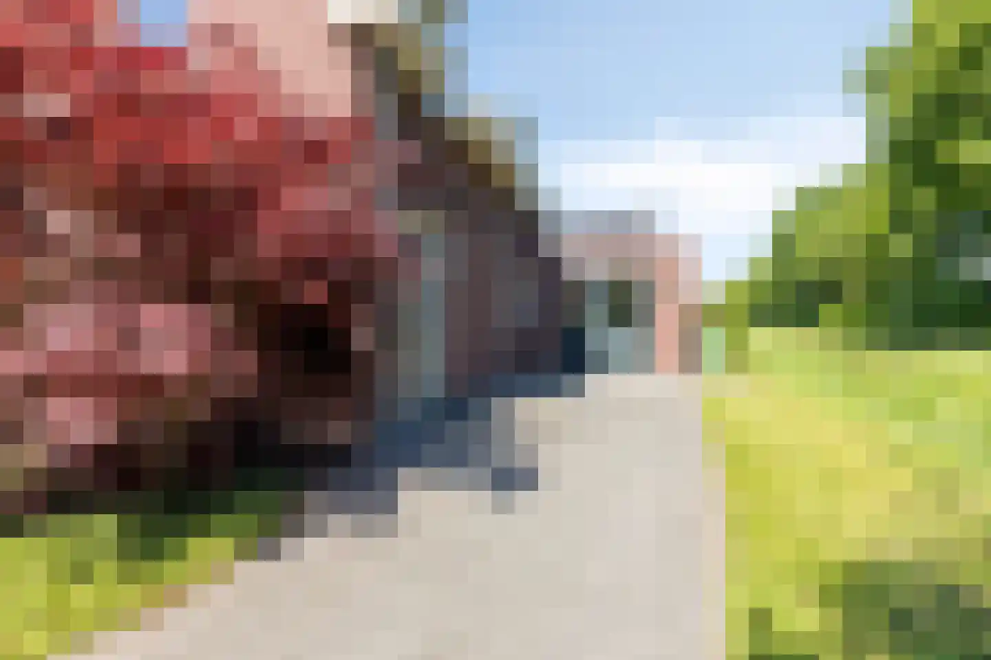 Pelgang 9 Oploo thumbnail 10