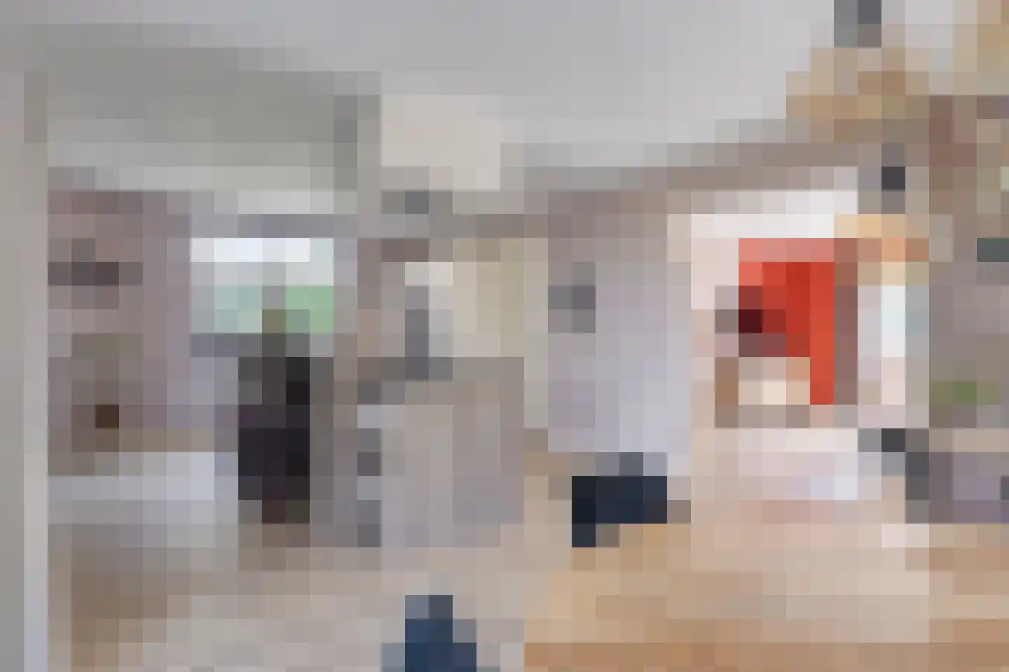 Pelgang 9 Oploo thumbnail 23