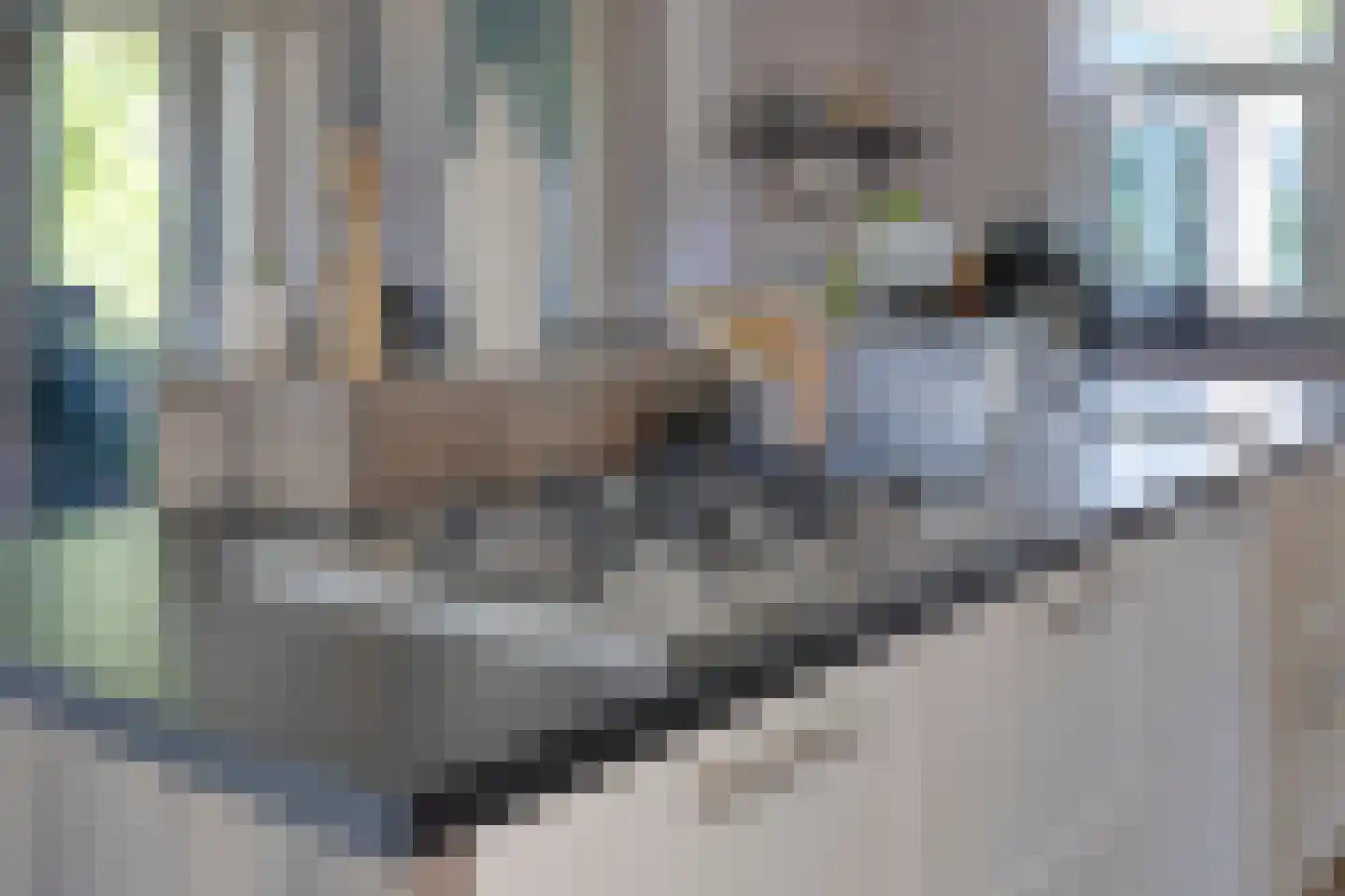 Pelgang 9 Oploo thumbnail 26