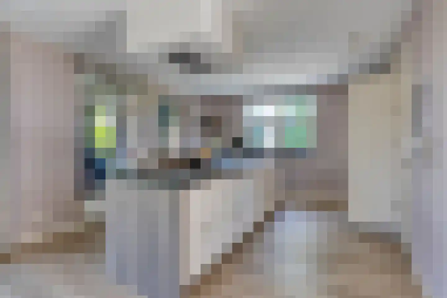 Pelgang 9 Oploo foto 3