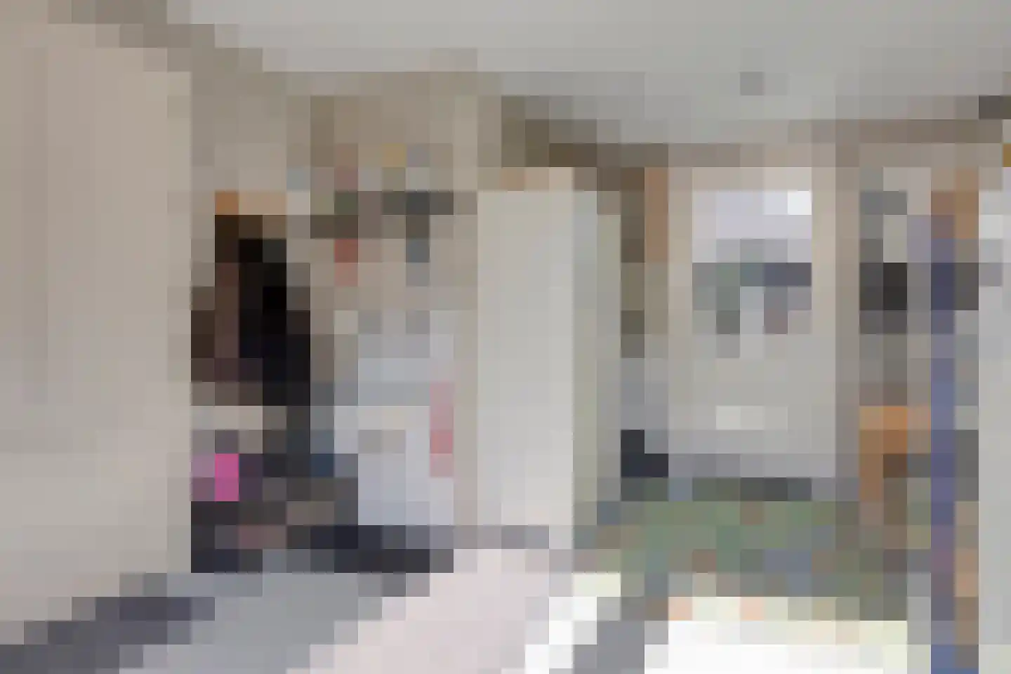 Pelgang 9 Oploo thumbnail 31