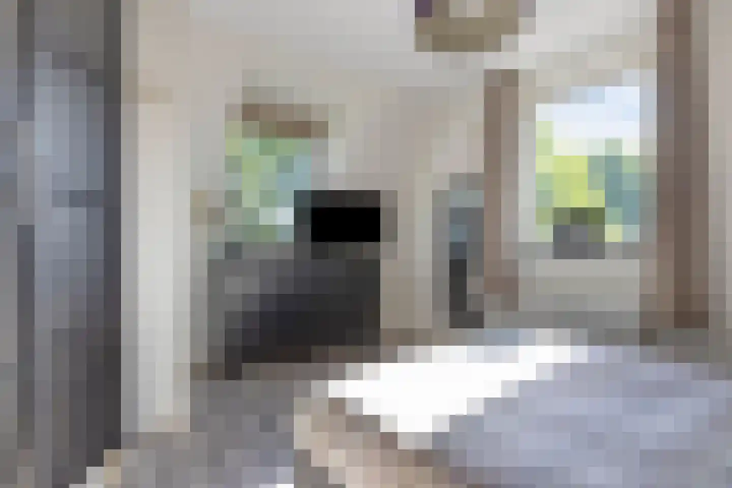Pelgang 9 Oploo thumbnail 35