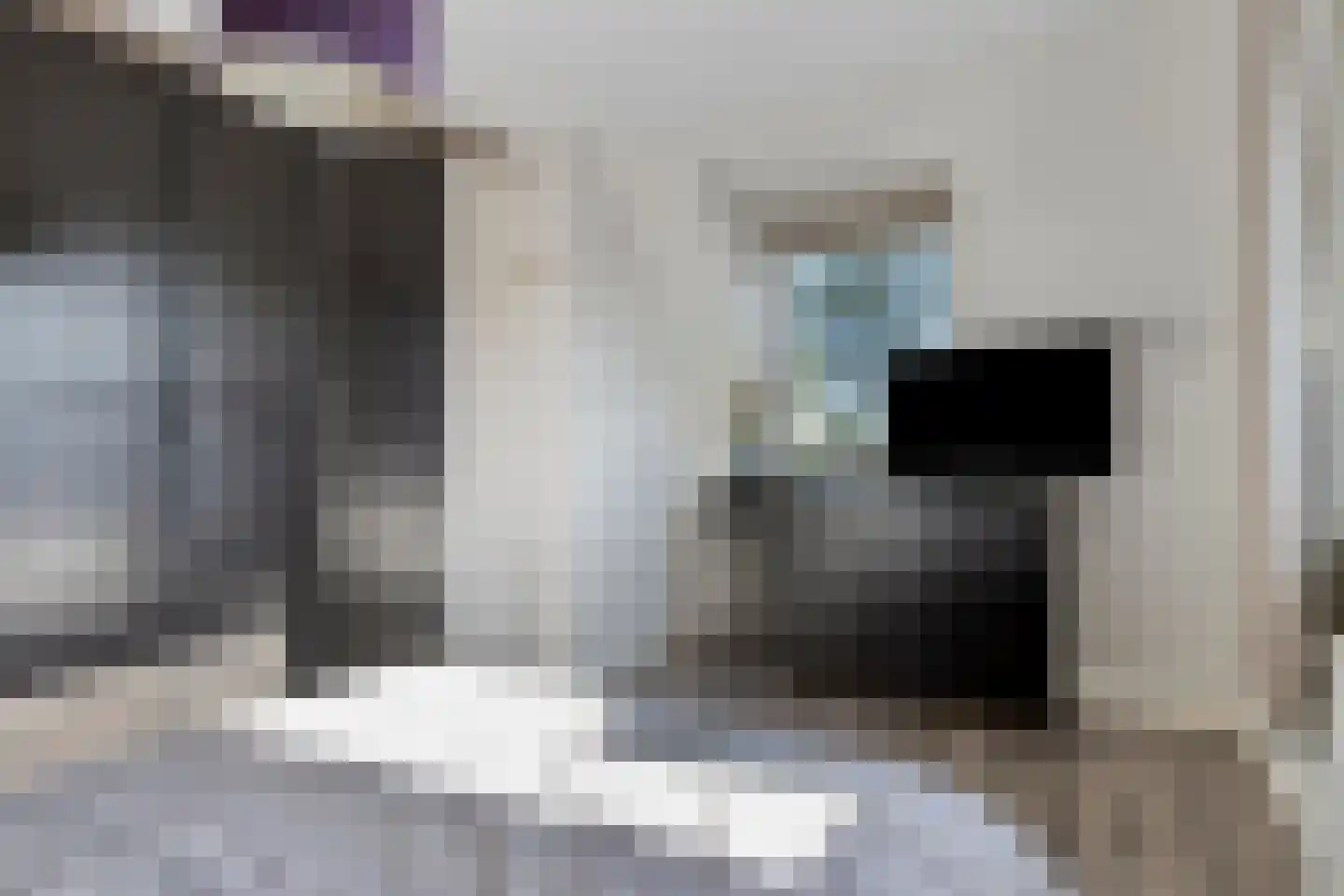 Pelgang 9 Oploo thumbnail 37